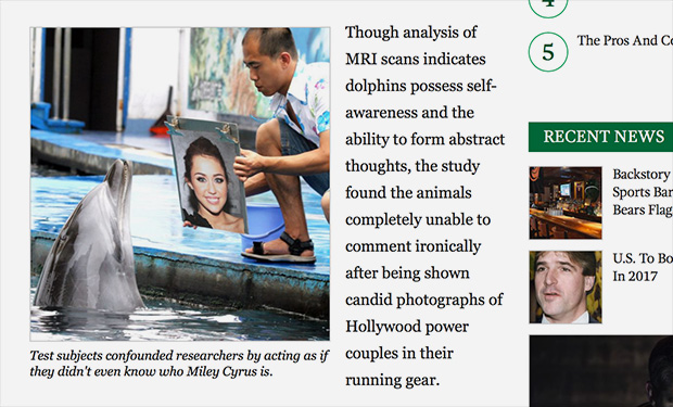 Дельфину демонстрируют портрет Майли Сайрус, но тот не может выдавить из себя ни одной шутки по этому поводу