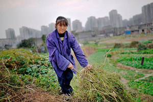 Власть КПК плюс урбанизация всей страны Почему в Китае форсируют переезд сельских жителей в города 