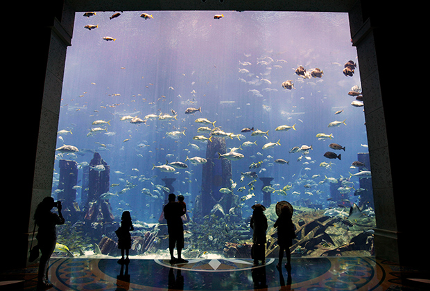 В отеле Atlantis есть огромный аквариум с богатой морской фауной