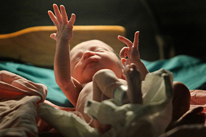Повесть о настоящем эмбрионе Экстракорпоральное оплодотворение — второй шанс или бизнес на простодушии