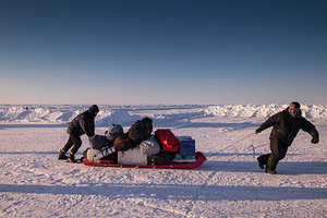 «Если вы упали духом — замерзнете» Путешественник, побывавший в Арктике более 30 раз, о выживании и Северном полюсе