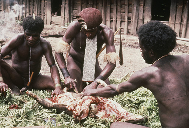 В индонезийской части острова Новая Гвинея в южной части Тихого океана живут предположительно четыре десятка «потерянных племен»