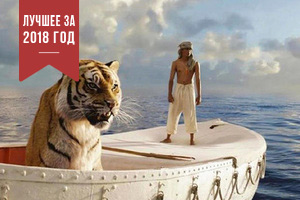 Человек и кошка Поляк на полгода застрял в океане с котом, лапшой и индийскими фильмами