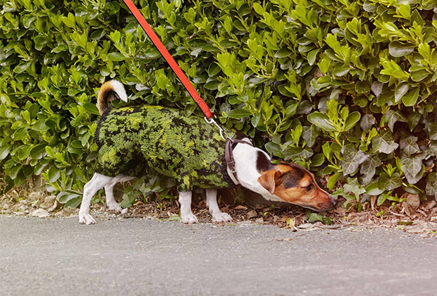 Объединение моды и искусства