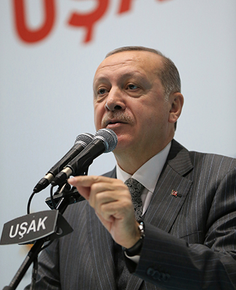 Эрдоган объявляет о начале операции «Оливковая ветвь»