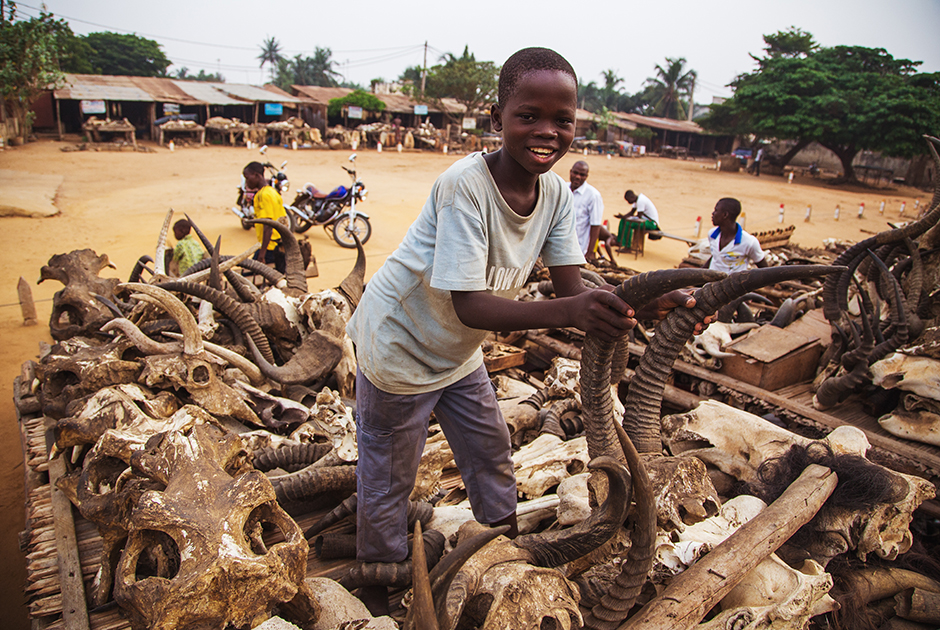 Крупнейший вуду-рынок в мире Акодессева расположен в столице государства Того Ломе. 51 процент населения страны верит в вуду, поэтому недостатка в покупателях у колдунов нет.