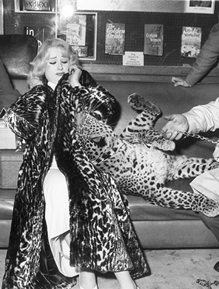 Модель и актриса Сабрина в леопардовой шубке (1958)