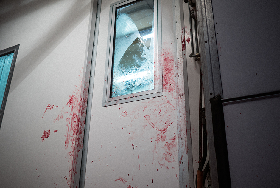 Дверь, отделяющая рабочую камеру, где происходит обработка забитого оленя, от холодильного помещения для туш, готовых к транспортировке на склад, испачкана кровью.