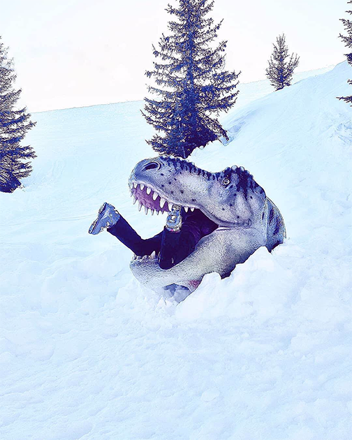 Во время прогулки по австрийским Альпам Надин Вейс случайно обнаружила погребенную под снегом фигуру динозавра. Вид рептилии навел ее на забавную метафору. «Я сразу подумала, что нежелание возвращаться домой из этого снежного рая можно сравнить с ощущением, будто тебя съел динозавр», — игриво подписала снимок она.