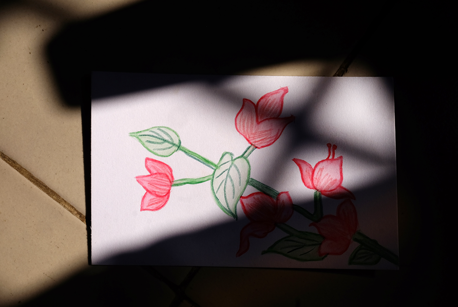 Спасенные девушки рукодельничают во всех трех убежищах. Делают открытки, рисуют, занимаются мехенди (временный рисунок хной на коже). Этому их обучают преподаватели, которые наведываются в приют несколько раз в неделю.