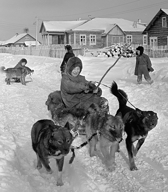 Дети из саамского колхоза «Тундра» катаются на собачьих упряжках, 1961 год 