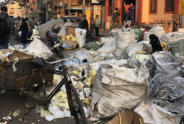 Сортировщица мусора в Нью-Дели