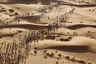 Участники «Марафона песков» (Marathon de Sables) в пустыне Сахаре.
