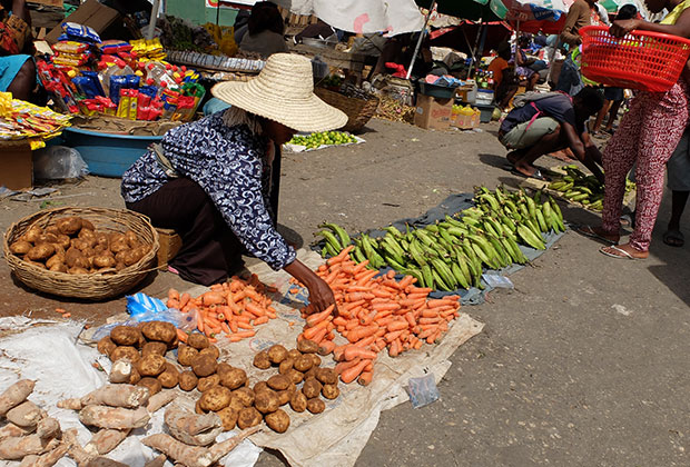 Бананы, морковь и картофель наряду с рисом — основа рациона гаитян