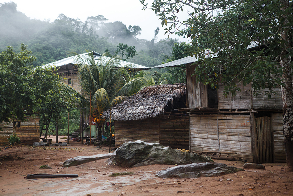 Дом яномами в поселке Окамо, Венесуэла. Яномами живут по обе стороны от хребта Сьерра-Парима на границе Венесуэлы и Бразилии. Это самое традиционное племя Венесуэлы: яномами, населяющие Сьерра-Париму, все еще живут в общинных домах шабоно и плохо знают испанский язык. Но вниз по Ориноко и ее притокам картина иная: несколько лет назад венесуэльское правительство начало строить яномами дома и школы, проводить электричество и ставить генераторы. 

Эти резкие перемены заглохли очень быстро: в стране начался затяжной кризис. Теперь яномами живут как будто на останках цивилизации, а стройматериалы, ЛЭП и генераторы, на которые не хватает бензина, либо проданы, либо используются совсем не по назначению. Традиционные дома же в некоторых общинах заменили хижины из пальмовых листьев и государственного шифера.