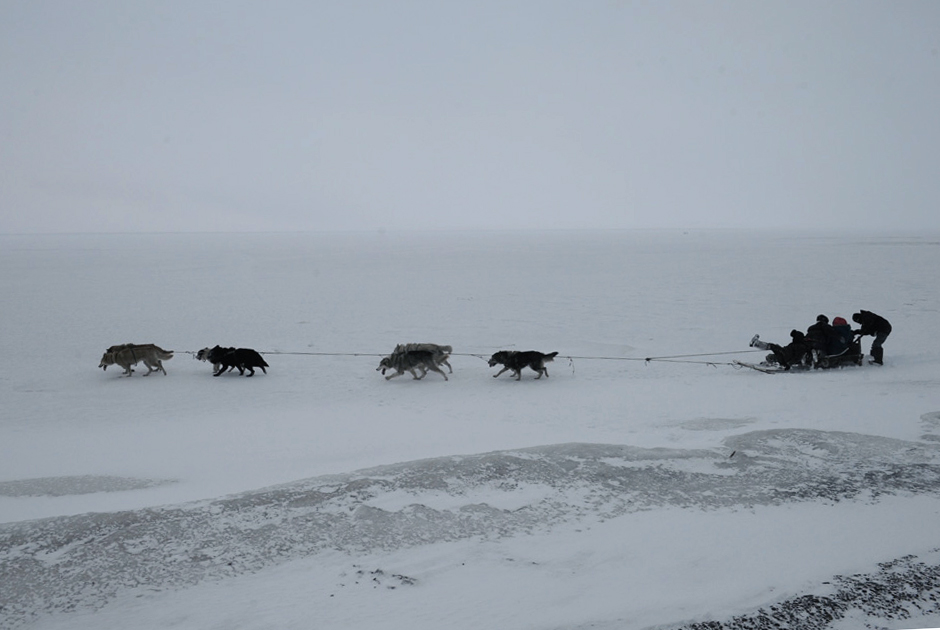 Дети катаются на собачьей упряжке по льду застывшей лагуны.