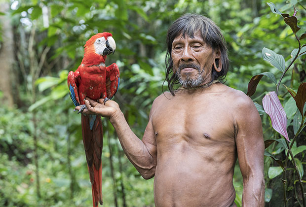 Мужчина из индейского племени гуарани (также известно как ваорани) в Южной Америке