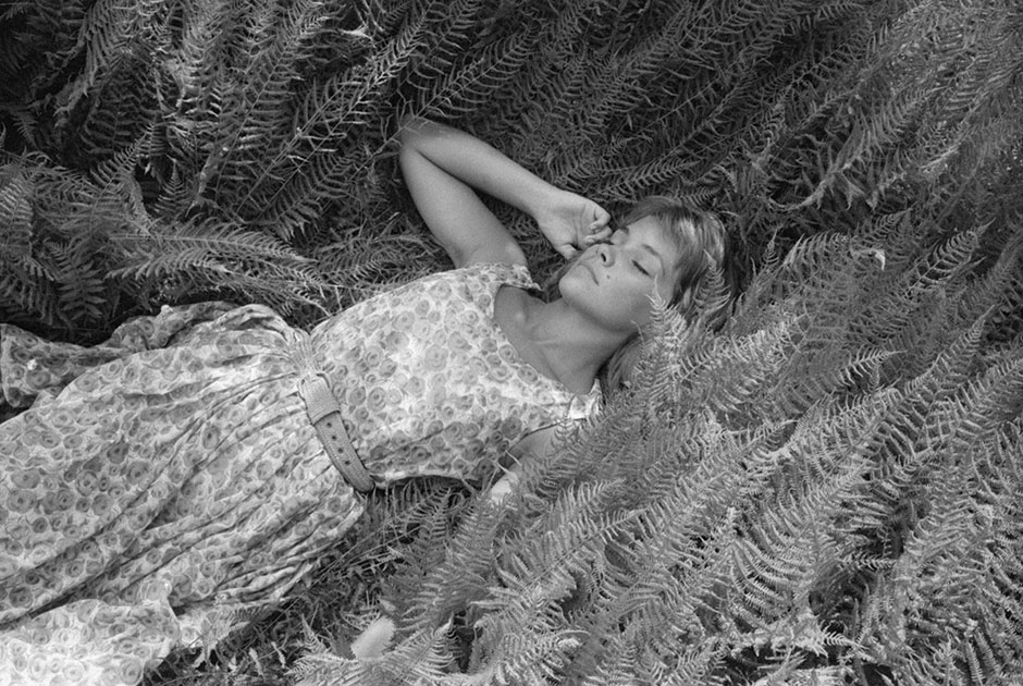 Женщина, вероятно, фотомодель, лежащая среди папоротников. 
Точная дата съемки неизвестна, предположительно, — между 1940 и 1969 годами.