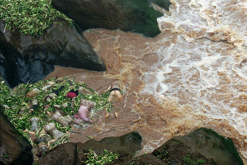 Тела в реке Кагера, по которой проходит граница Руанды и Танзании