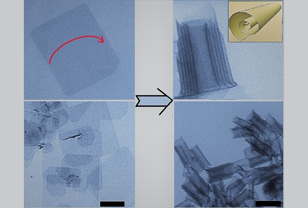 Изображения просвечивающей электронной микроскопии для двумерных листов теллурида кадмия. На левой панели — исходные листы с плоской формой, на правой — листы после сворачивания в свёртки. В правом верхнем углу дано схематичное изображение свёрнутого листа. 