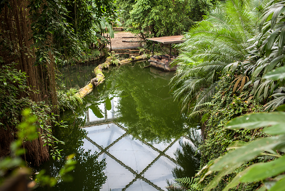 Уникальный тропический мир приключений «Гондвана» в Лейпцигском зоопарке. Здесь около 40 видов экзотических животных и более 500 видов растений. С первого шага ощущаешь себя в джунглях. 