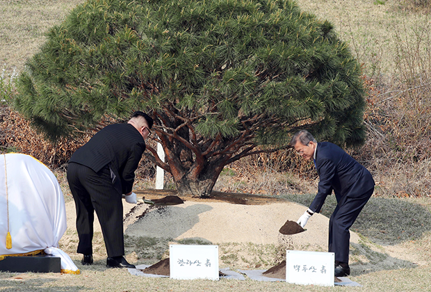 Ким Чен Ын и Мун Чжэ Ин посадили сосну, символизирующую мир и процветание