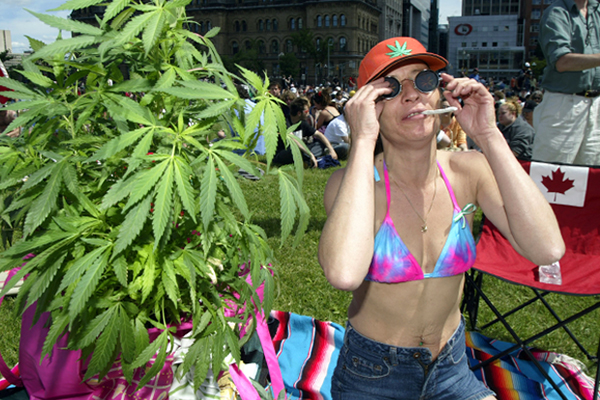 в канаде разрешена марихуана