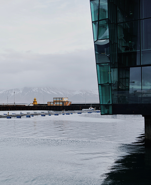 В 2008 году в Исландии произошла экономическая катастрофа: три крупнейших государственных банка потерпели крах. Однако правительство решило пойти по пути наименьшего сопротивления и не стало оказывать финансовую помощь банкирам. Семь лет спустя случилось экономическое чудо. Исландия была названа одной из наиболее подходящих стран для ведения бизнеса, чему во многом поспособствовала индустрия туризма. В 2017 году Исландия стала лидером по количеству долларовых миллионеров среди взрослого населения страны. Бюджет 15 процентов граждан Исландии превышает один миллион долларов. 