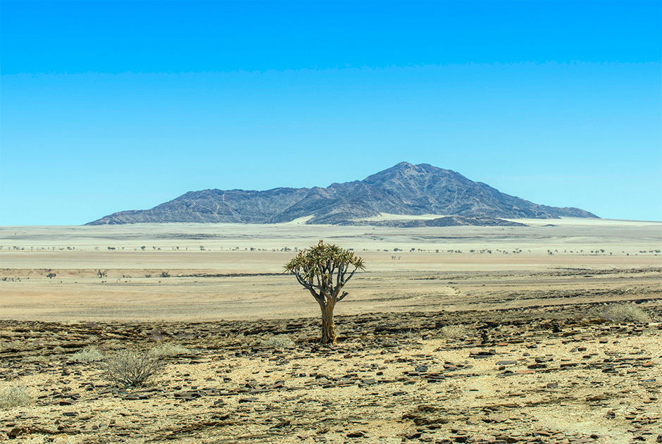 Молодожены еще не отправились в медовый месяц, однако, как сообщают многие источники, он будет проходить в необычном для романтической поездки месте: в кемпинге, окруженном песками Намибии.