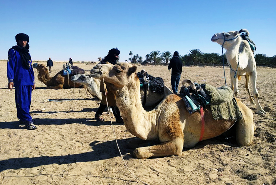 В пустыню можно отправиться на верблюдах или на квадроцикле. Тем, кто хочет почувствовать Сахару всем сердцем, предлагают дальние экспедиции и ночевки в кемпинге.
