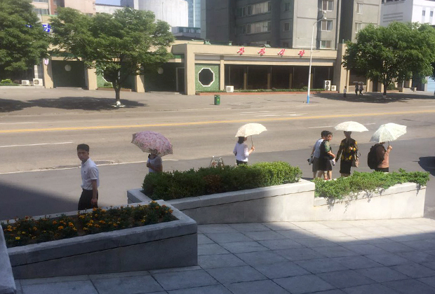 Жительницы Пхеньяна укрываются от зноя под гламурными зонтами