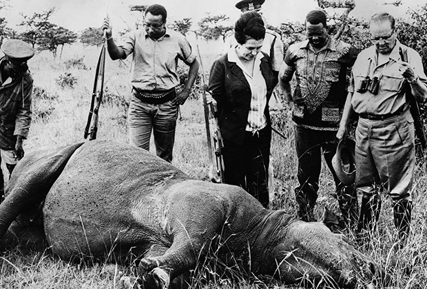 Охота на носорогов в ЮАР