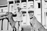 Император с ручными гепардами в своем дворце в Аддис-Абебе. В повседневной жизни Хайле Селассие предпочитал военную форму.