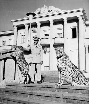 Император с ручными гепардами в своем дворце в Аддис-Абебе. В повседневной жизни Хайле Селассие предпочитал военную форму.