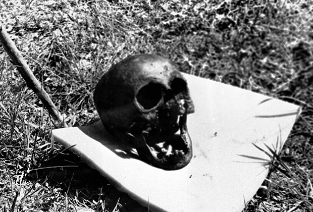 Череп, найденный писателем Гелием Рябовым и идентифицированный им как череп Николая II Романова