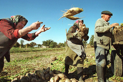 Молдавские фермеры хотят получить от Российской Федерации 2,5 млн за земли Приднестровья
