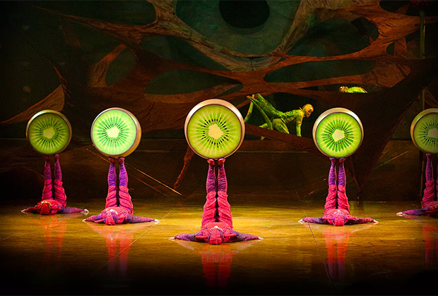 В 2017 году Skoda и Cirque du Soleil заключили соглашение о партнерстве