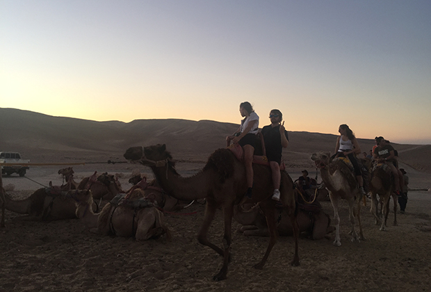 Катание на верблюдах на бедуинской стоянке