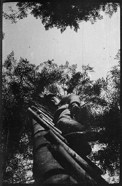 Артиллерист, взбирающийся на дерево. 