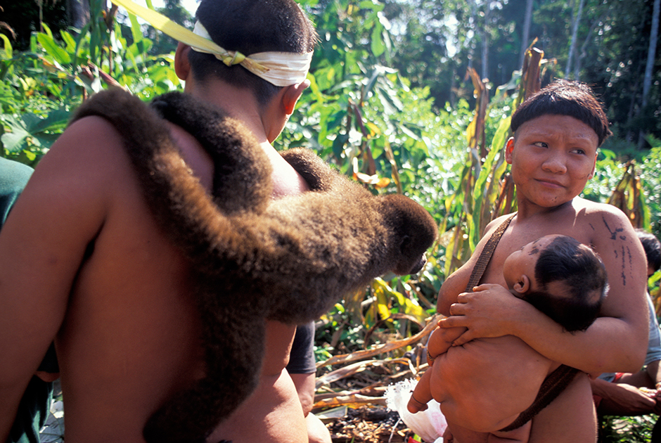 Вале-ду-Жавари — одна их крупнейших резерваций в Бразилии. По размерам она превосходит Австрию. Расположенная в глубине штата Амазонас, она по-прежнему мало изучена из-за труднодоступности: так, в 2011 году здесь обнаружили ранее неизвестное индейское племя. 