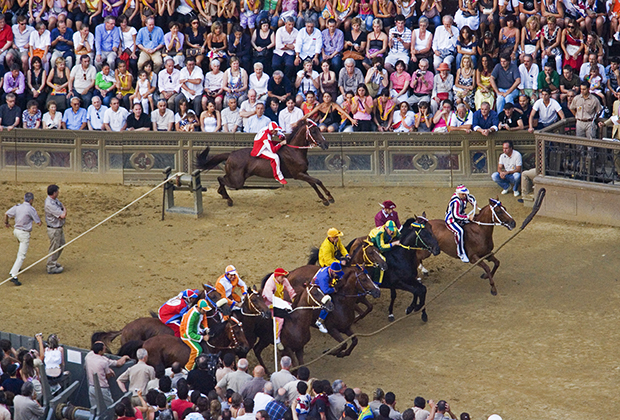 Старт гонки 2008 года. Пространство, в котором расположены лошади на старте, с двух сторон ограничено канатами, но жокеи все равно умудряются использовать различные тактики. 