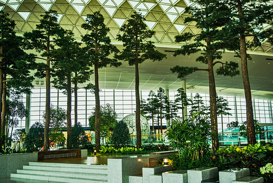 Со дня своего открытия в 2001 году воздушная гавань Сеула аэропорт Инчхон регулярно попадает в списки самых комфортных аэропортов мира. Одна из его особенностей — живые растения в залах. На фото — ботанический сад, расположенный в Терминале 2. 