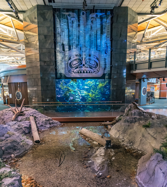 Ванкувер — один из самых богатых городов Канады. Успешных канадцев привлекает мягкий климат и прекрасная экология. Подчеркивает это и местный аэропорт, который щеголяет огромным аквариумом и декором в стилистике местных индейских племен. 