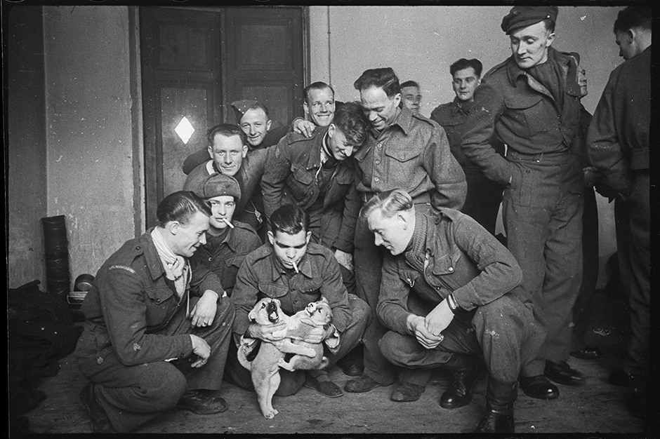 Англичане, освобожденные из немецкого плена краснознаменцами, забавляются с собаками, вывезенными из Германии. Дата неизвестна.