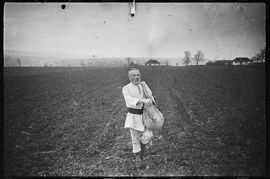 Посев в румынской деревне. 2-й Украинский фронт, 1943 год.