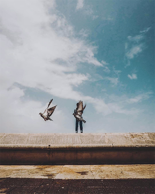 Фотограф из Индии Азад Джархав пытался снять человека на крыше в Мумбае, но кадр испортили летевшие мимо голуби. «Отлично выбрала момент, птица», — прокомментировал снимок редактор Instagram.