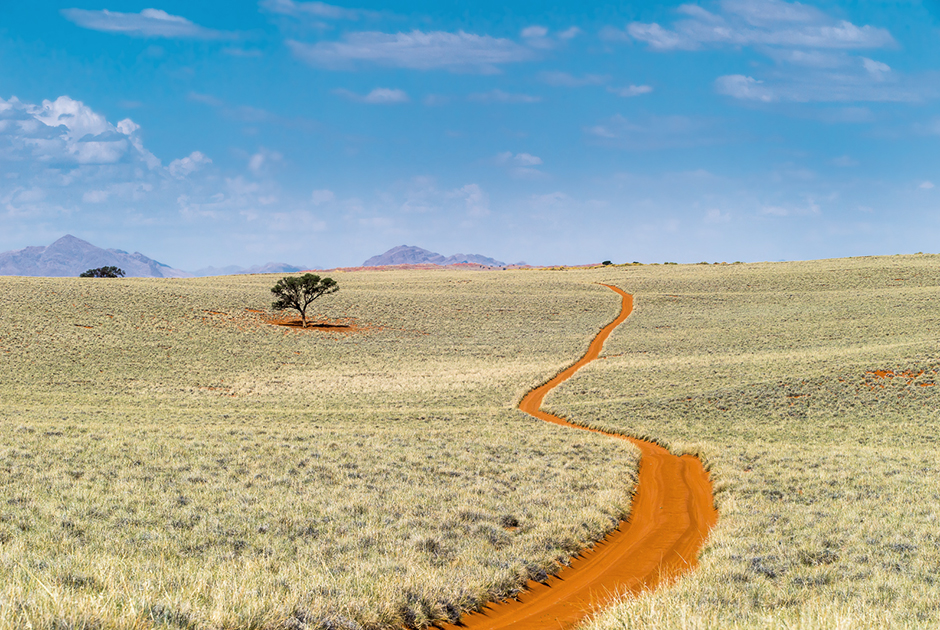 Власти пустынного государства очень серьезно относятся к защите своих природных ресурсов. Намибия была первой африканской страной, включившей охрану окружающей среды в конституцию.