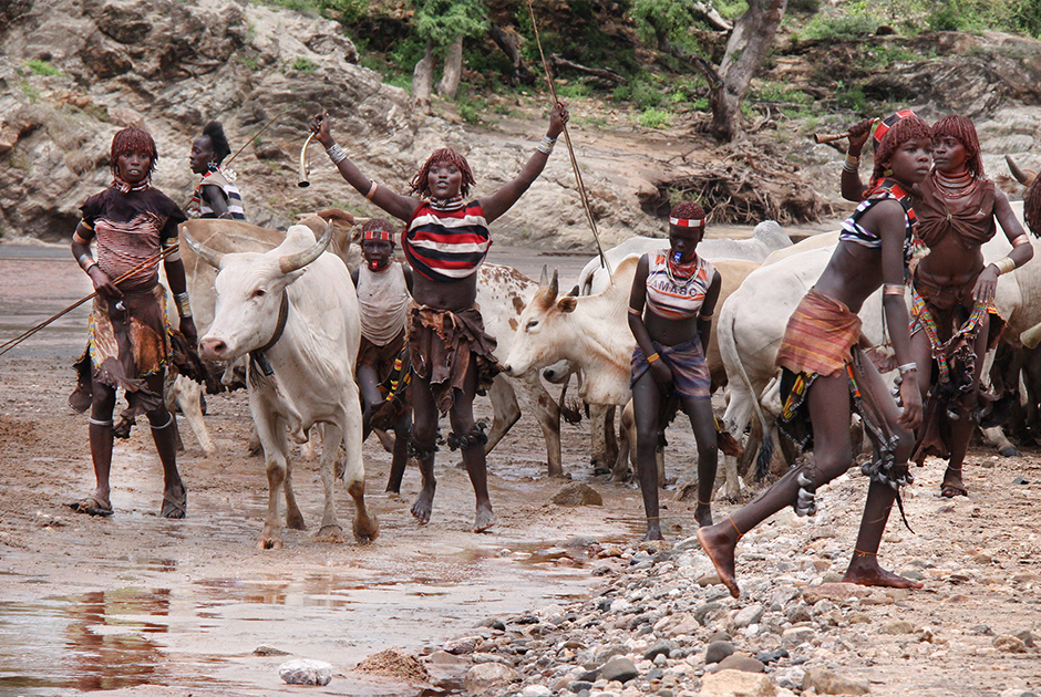 Всего в долине реки Омо на юге Эфиопии живут около 45 тысяч человек из племени хамер. В основном они занимаются скотоводством, поэтому быки имеют особое значение в их жизни.

Прыжки через быков — это обряд, который члены племени совершают ежегодно после сбора урожая. С помощью него мальчики доказывают свою готовность перейти во взрослую жизнь: завести жену, детей и хозяйство.