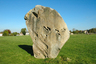 Тот самый камень, под которым были найдены останки брадобрея из Эйвбери. 