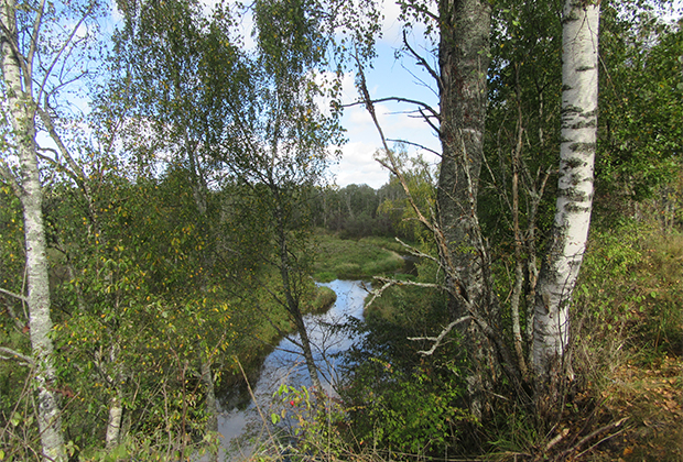 Тверская область, село Берново. Река Тьма 